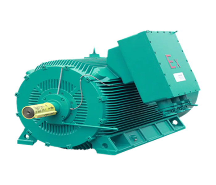 Medium Voltage Cast Iron Motors